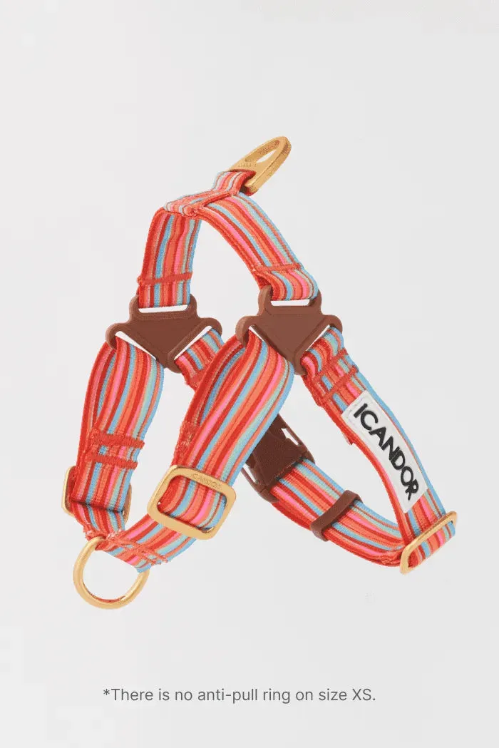 No-Pull Dog Harness