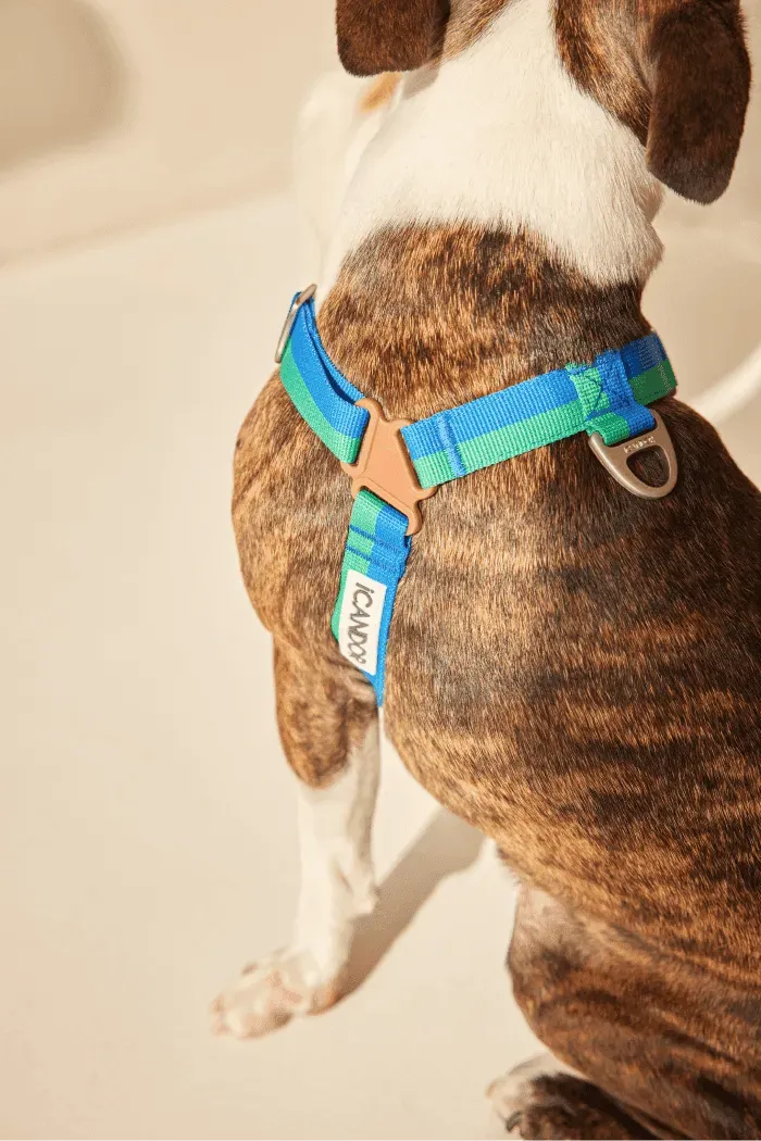 No-Pull Dog Harness