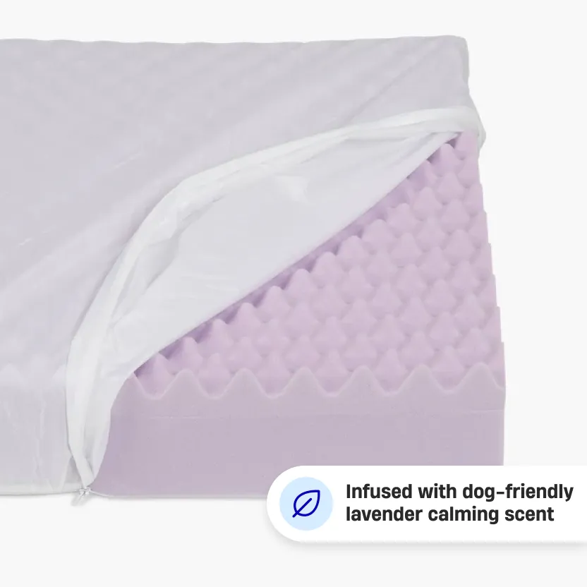 Orthopedic Memory Foam Dog Bed - Pink (Medium)