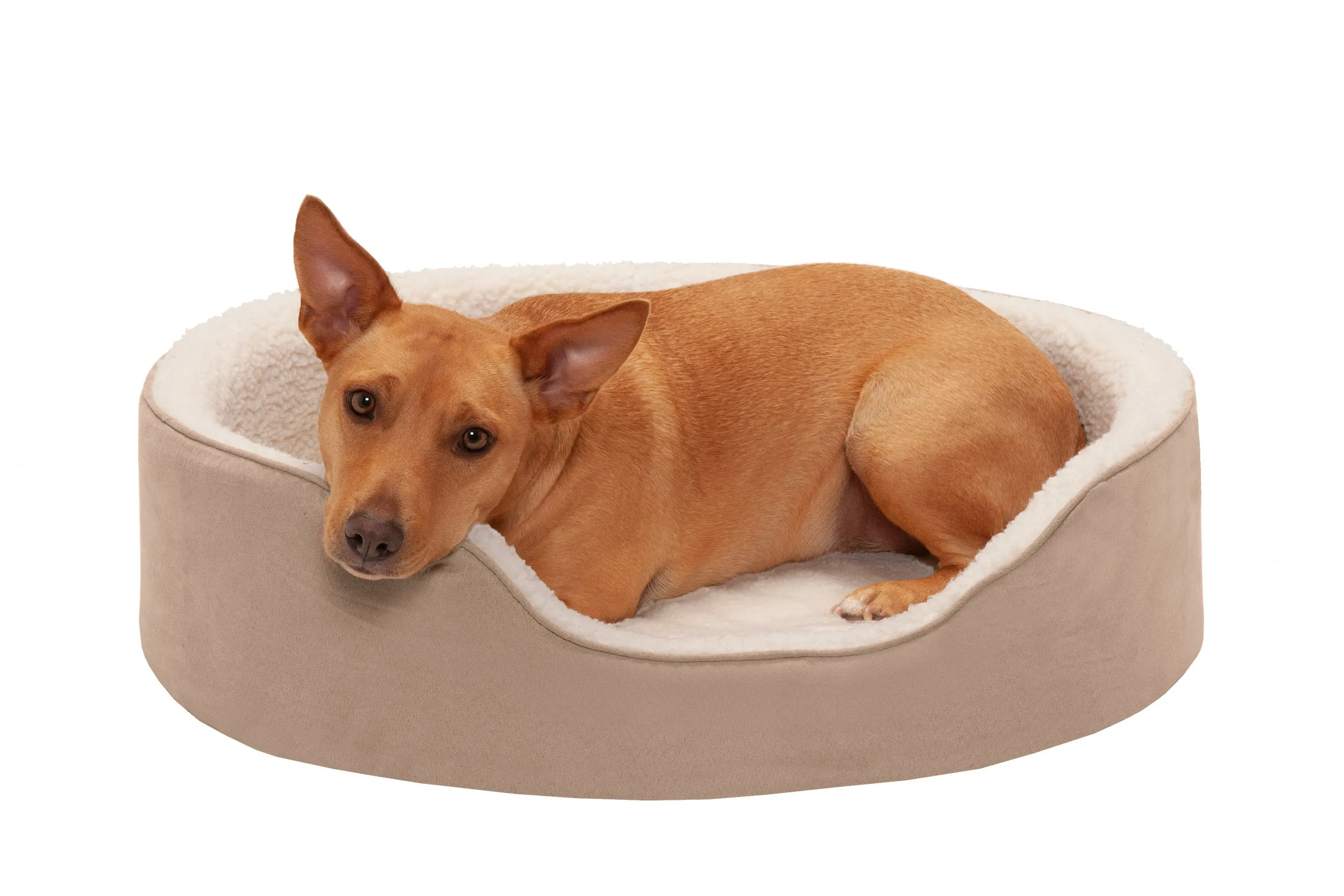 Oval Dog Bed - Faux Sheepskin & Suede