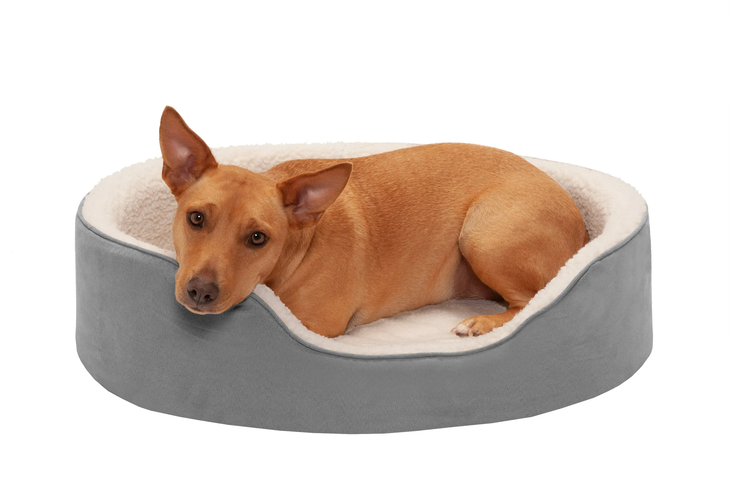 Oval Dog Bed - Faux Sheepskin & Suede