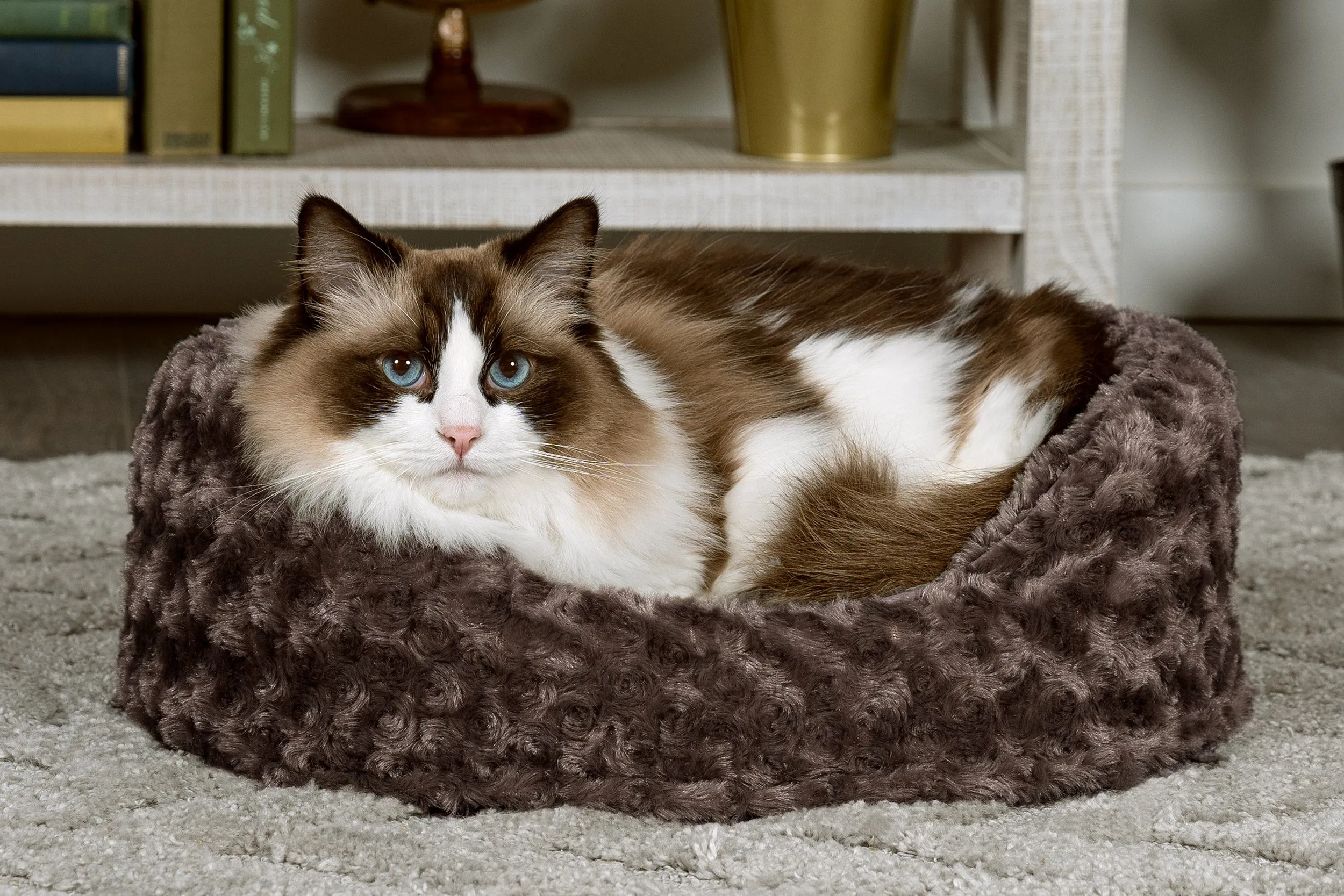 Oval Dog Bed - Ultra Plush