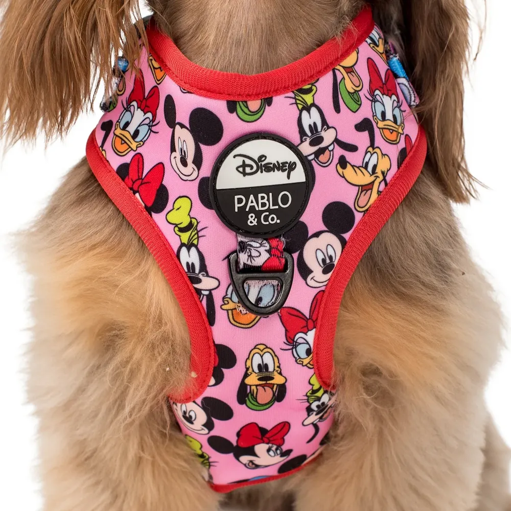 Pablo & Co Mickey & Friends: Adjustable Harness - Pink