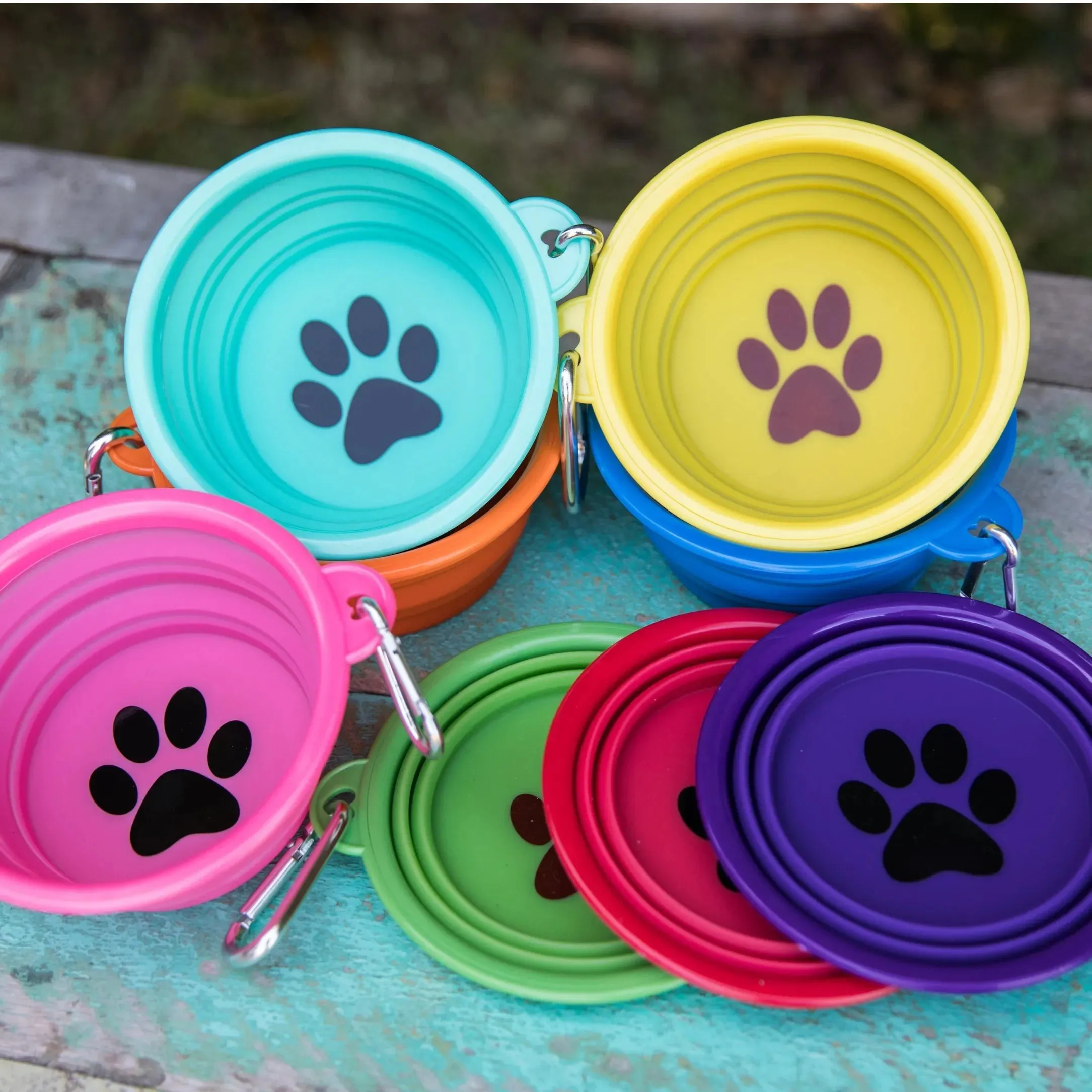 PET BOWL SMALL - Collapsible