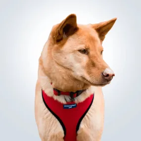 PET HARNESS Red - Embroidered