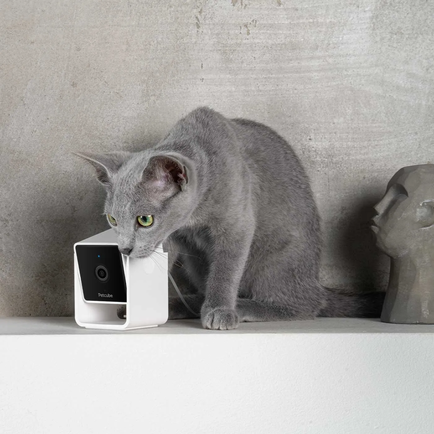 Petcube 2-Way Audio HD Camera with Night Vision