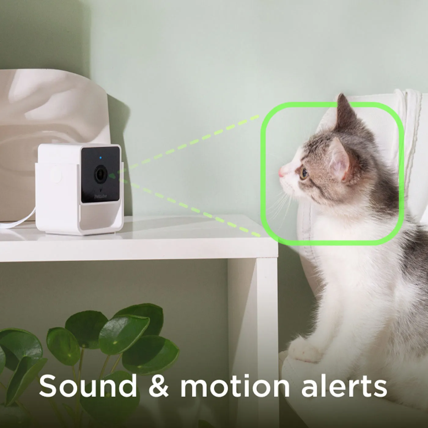 Petcube 2-Way Audio HD Camera with Night Vision