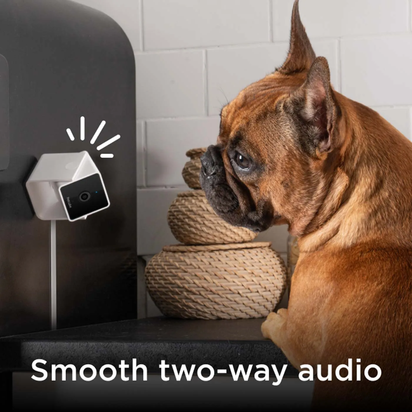 Petcube 2-Way Audio HD Camera with Night Vision