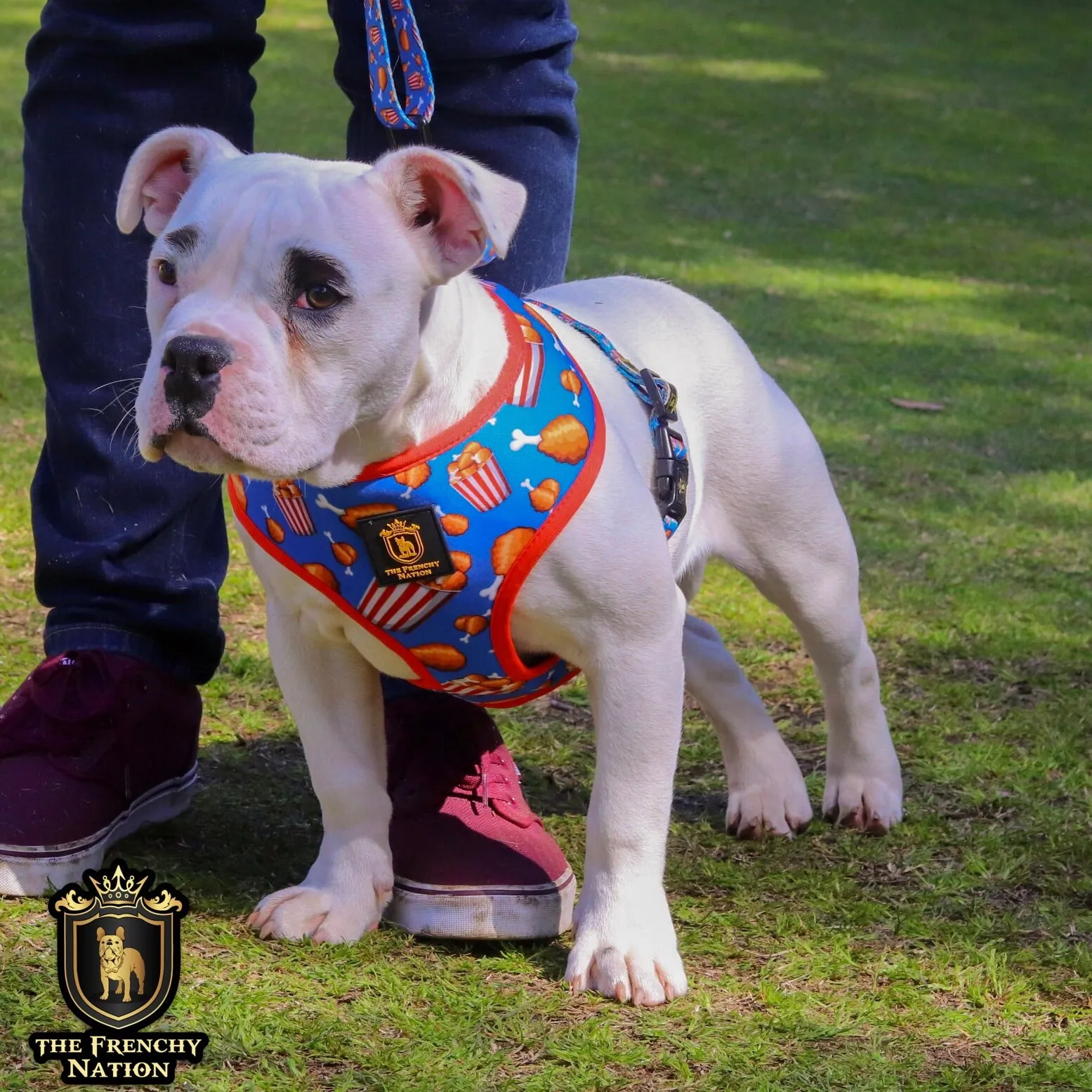 "Finger Licking Good" Reversible Harness