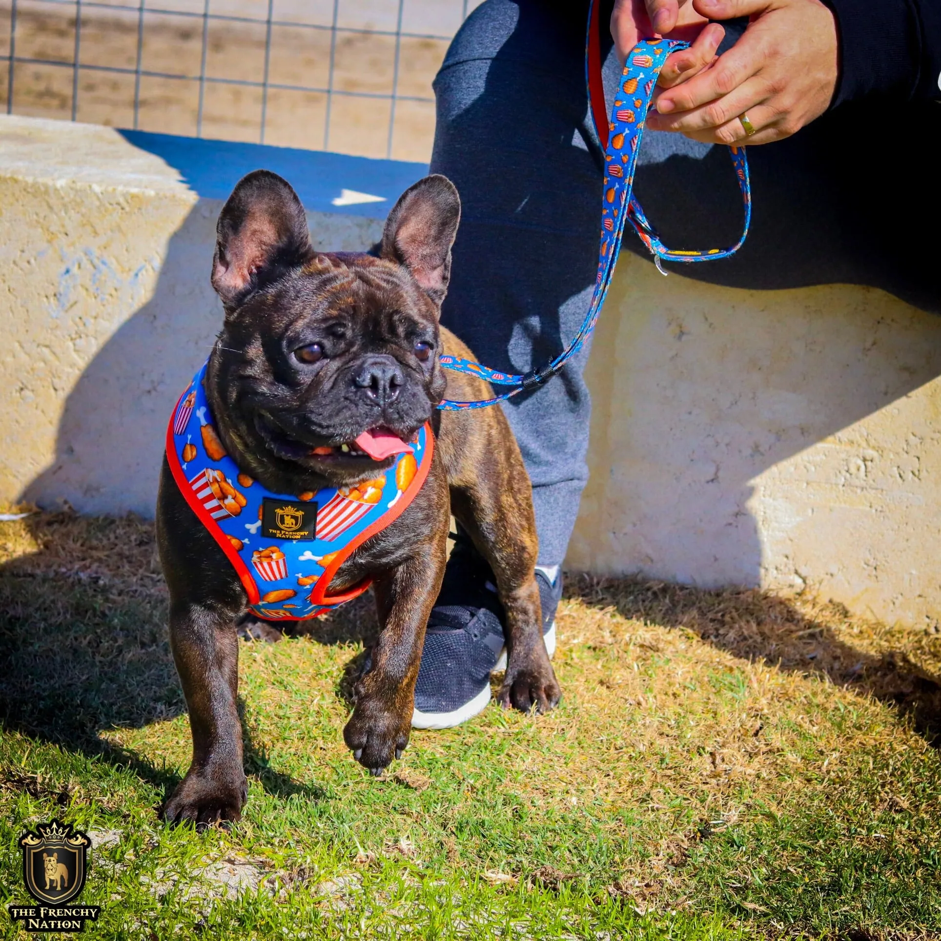 "Finger Licking Good" Reversible Harness