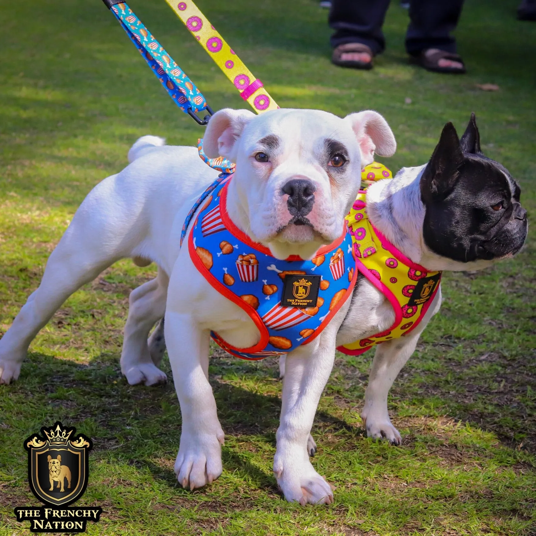 "Finger Licking Good" Reversible Harness