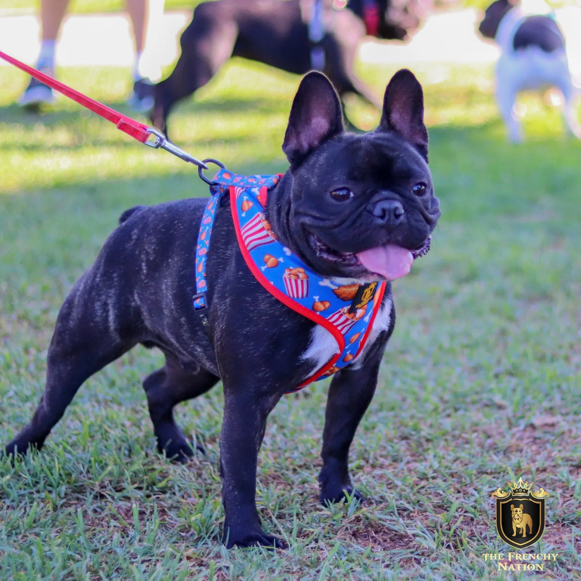 "Finger Licking Good" Reversible Harness