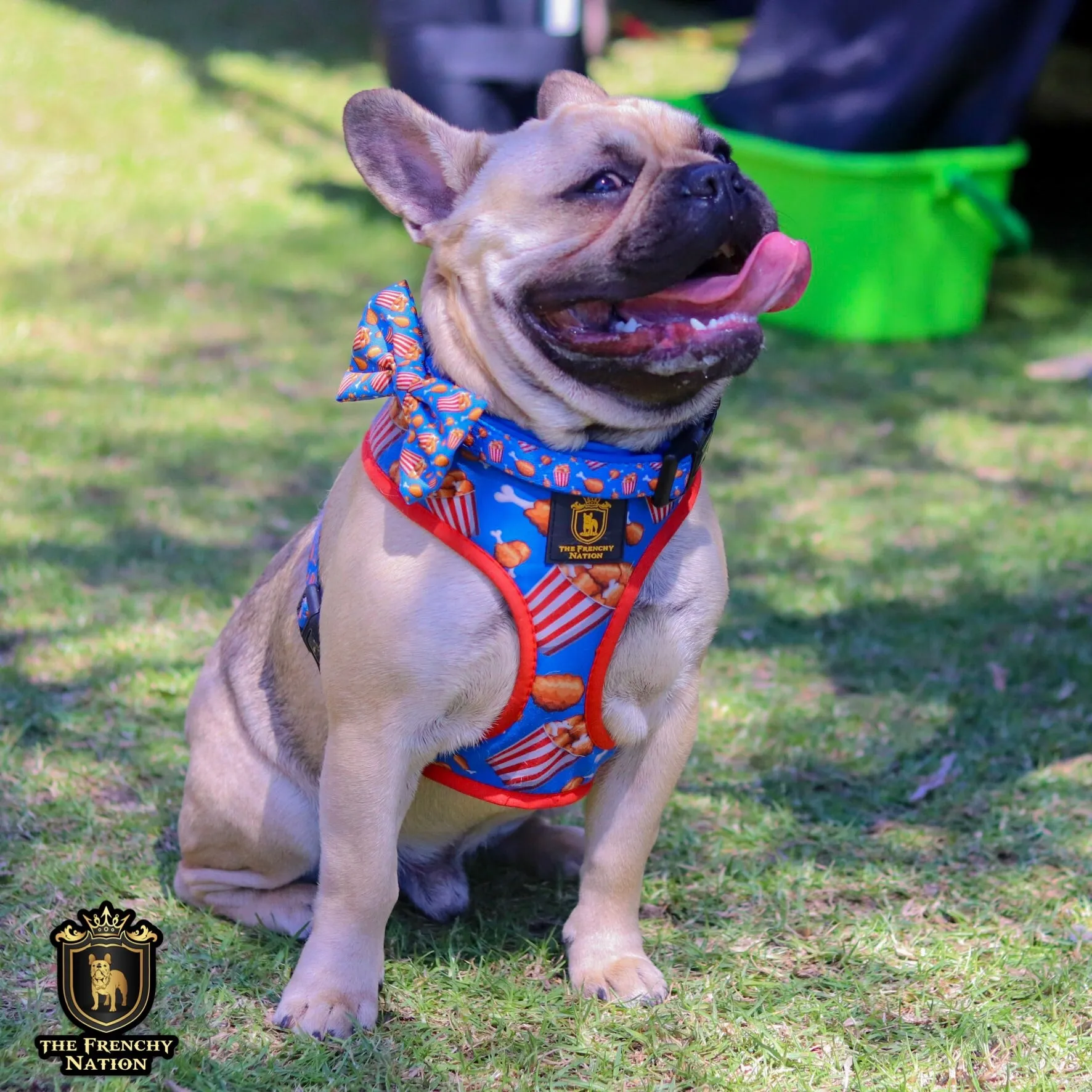 "Finger Licking Good" Reversible Harness