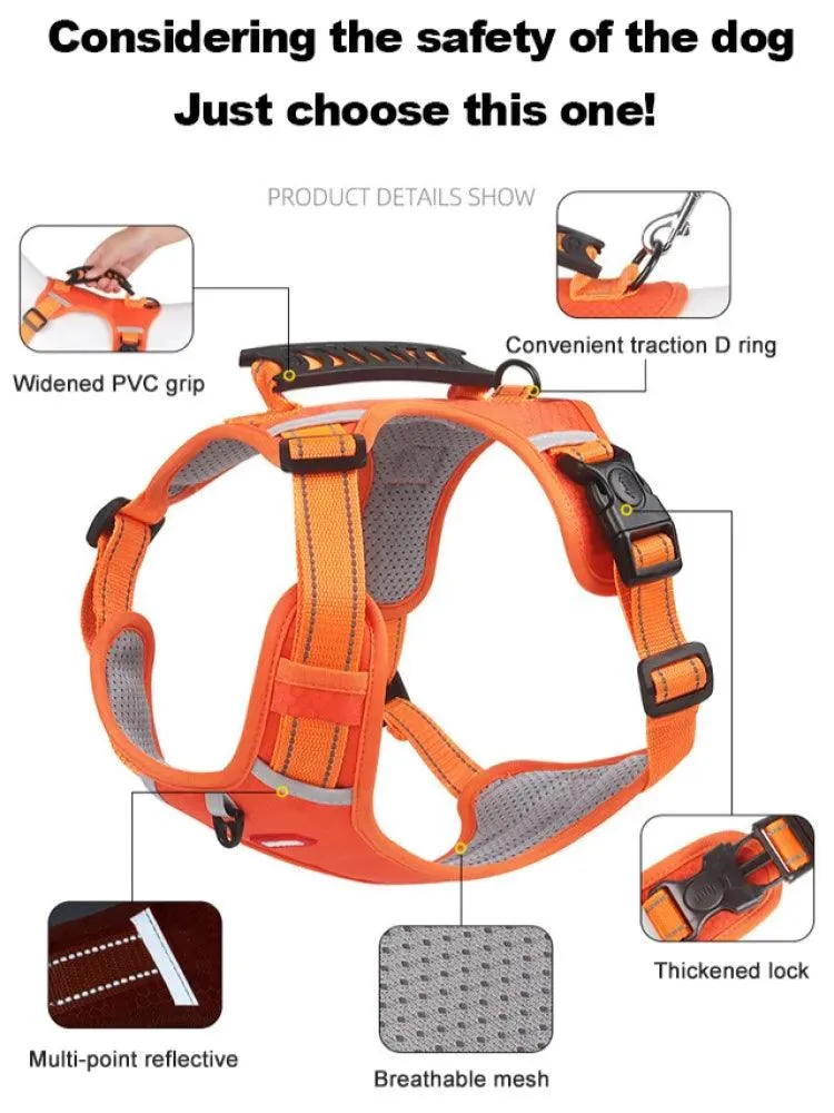 Reflective Adjustable Pet Harness