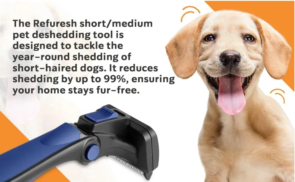 Refuresh, small, blue Deshedding Brush for Short Hair Dogs, Cats & Pets - Lightweight Brush for Shedding & Grooming - Deshedder Supplies