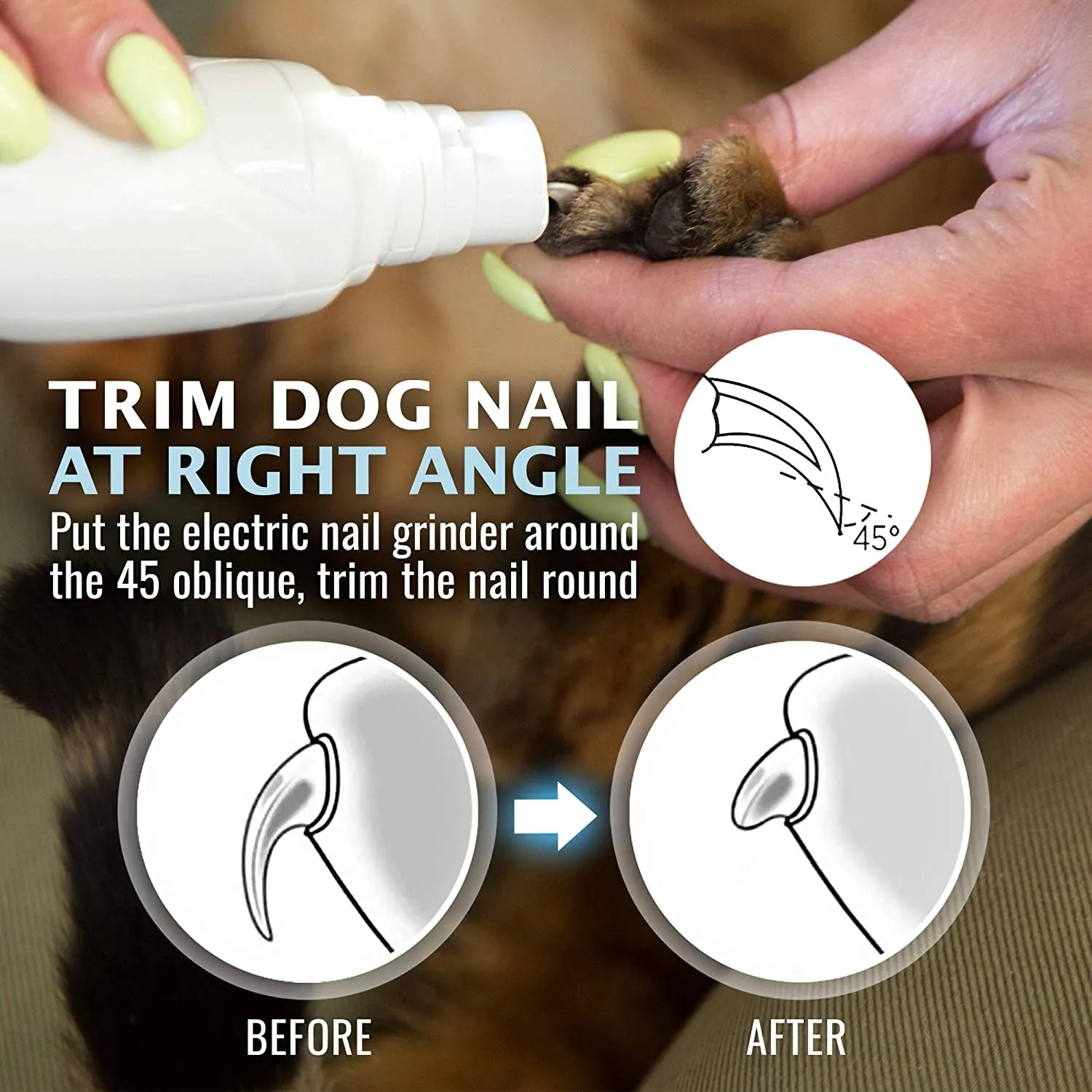 REXIPETS Cat and Dog Nail Grinder - Rechargeable Electric Pet Nail Clipper & Trimmer- Painless Paws Grooming - Quiet 2-Speed Motor. 3 Size Ports for Small, Medium, Large Pets- up to 4 Hours of Charge