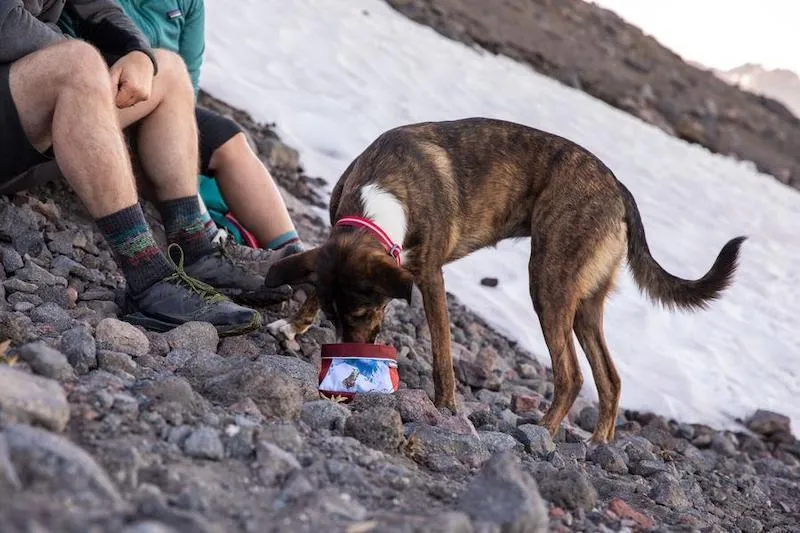 Ruffwear Quencher™ Artisst Series Packable Food & Water Dog Bowl (Mount Bailey)