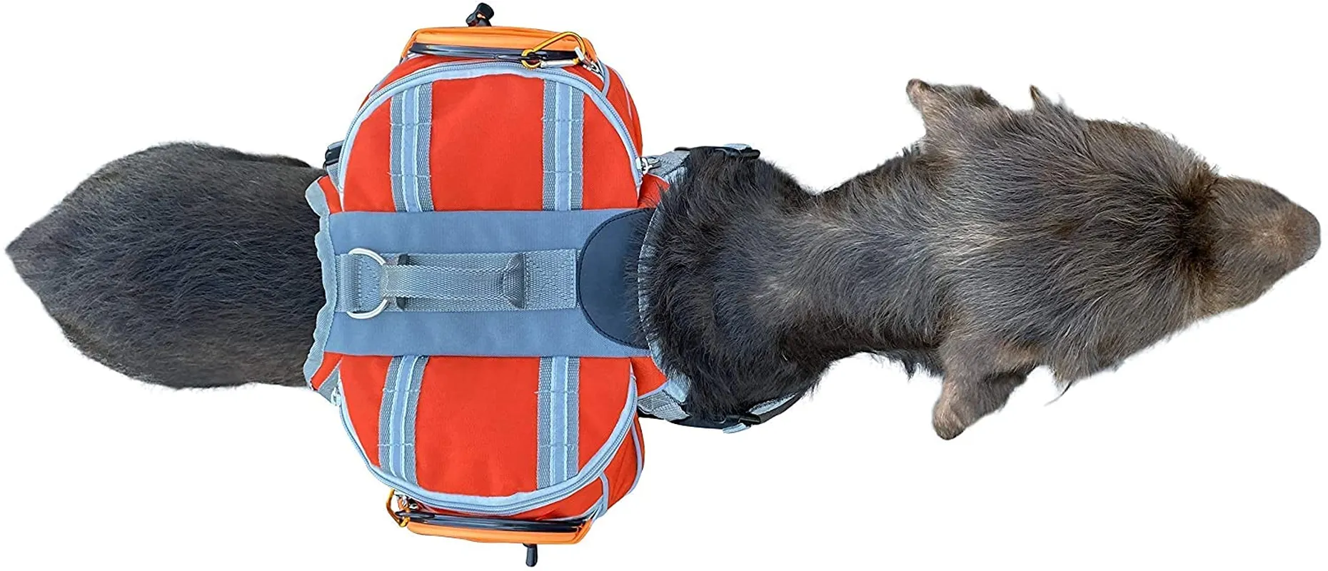 Saddlebag Back Pack & Harness Combo for Dogs | Perfect for Travel, Trail Hiking, & Camping. | Reflective, Lightweight, & Comfortable. | Comes with Two Collapsible Bowls