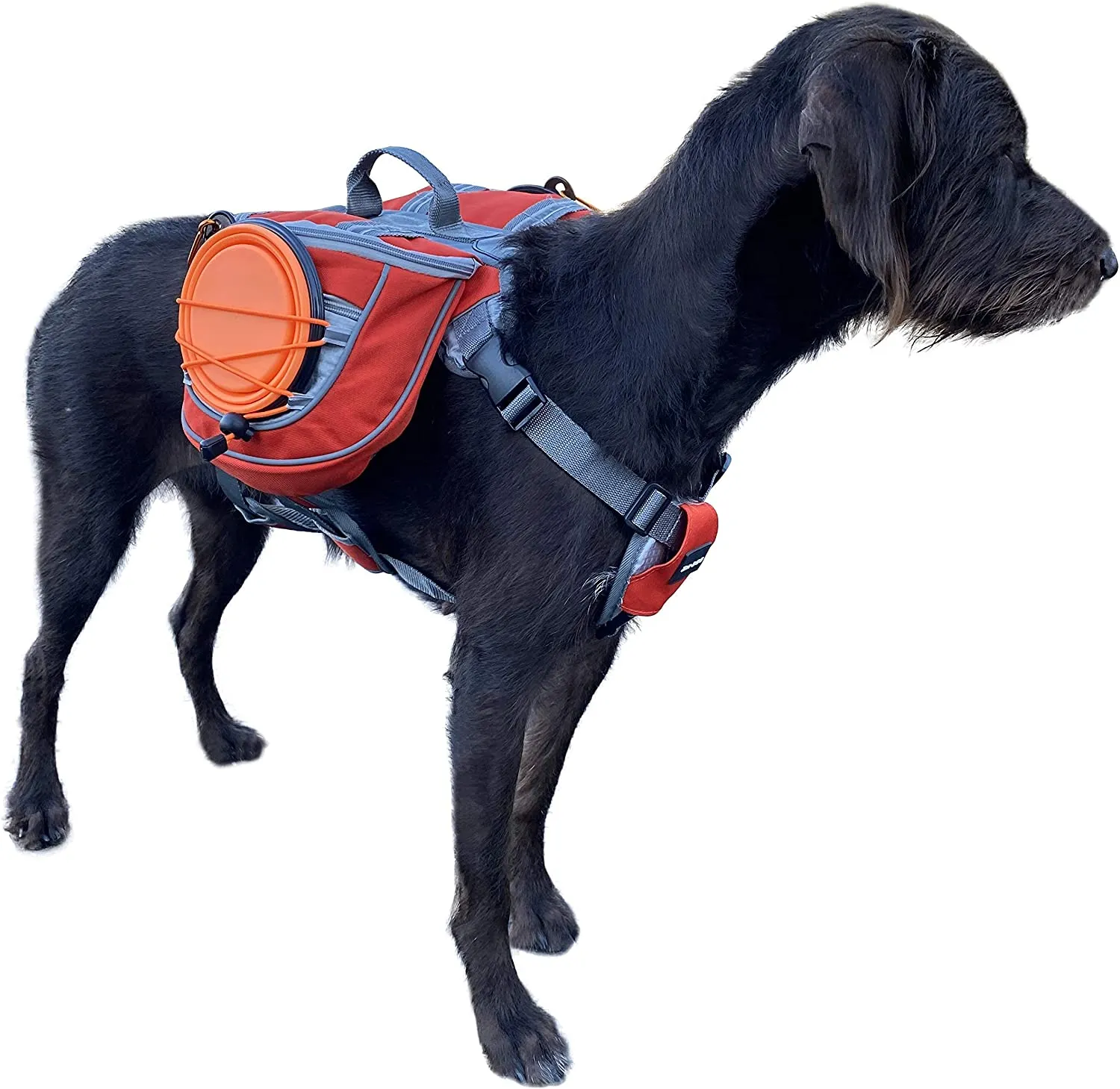 Saddlebag Back Pack & Harness Combo for Dogs | Perfect for Travel, Trail Hiking, & Camping. | Reflective, Lightweight, & Comfortable. | Comes with Two Collapsible Bowls