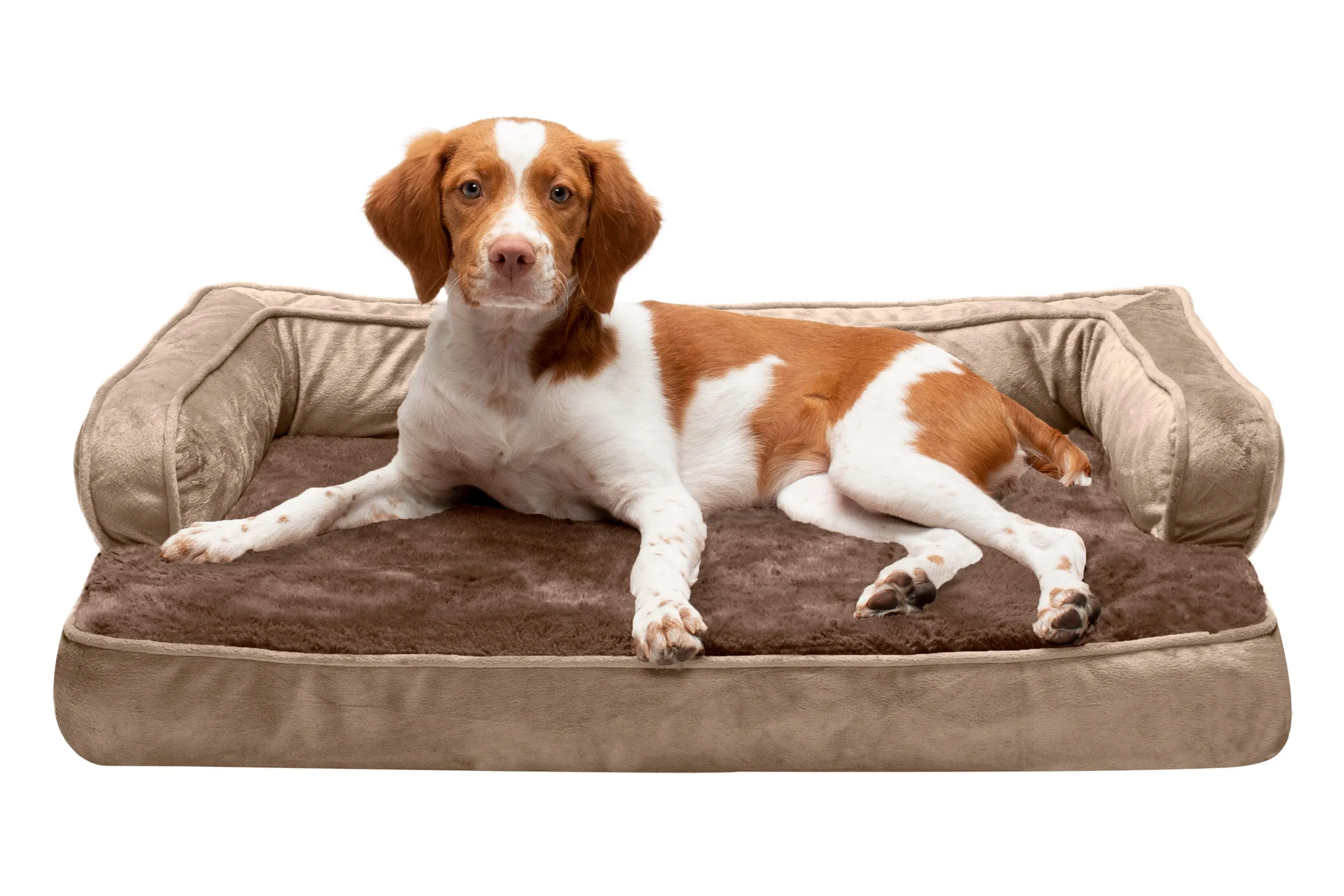 Sofa Dog Bed - Plush & Velvet Comfy Couch