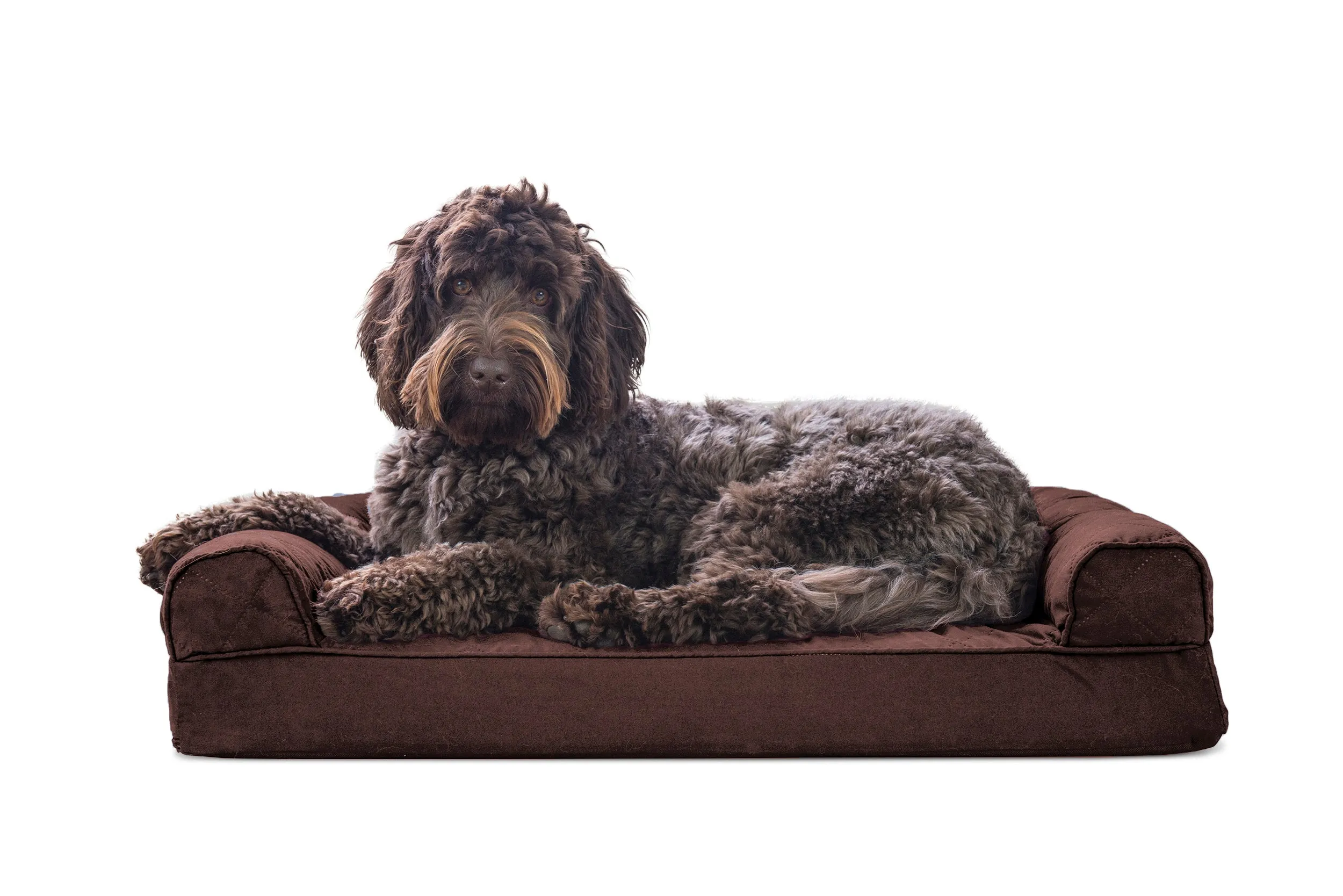 Sofa Dog Bed - Quilted