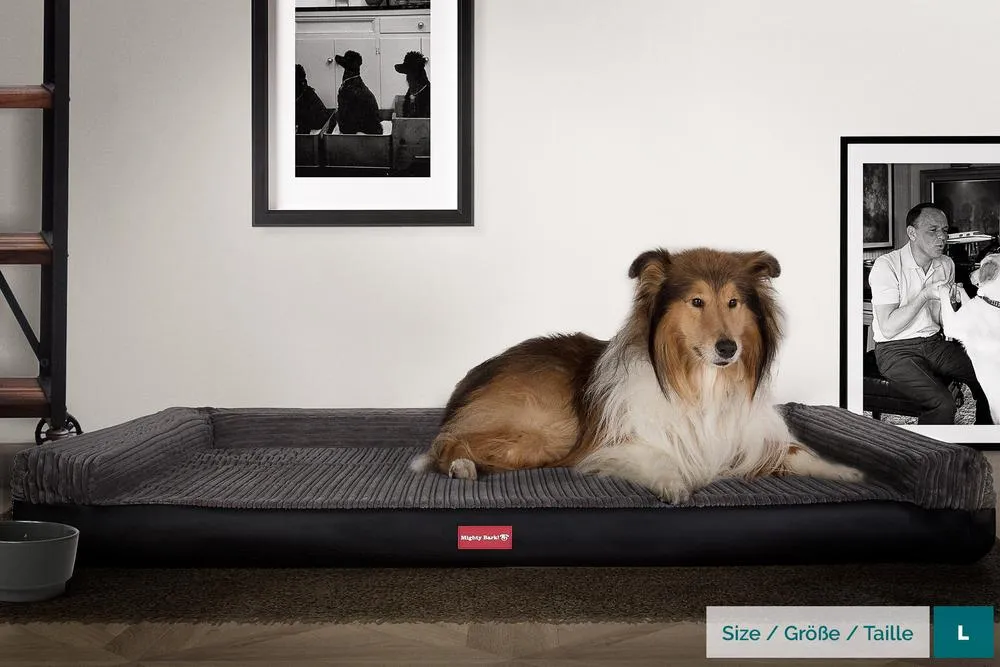 The Bench Orthopedic Memory Foam Dog Bed - Faux Leather Black