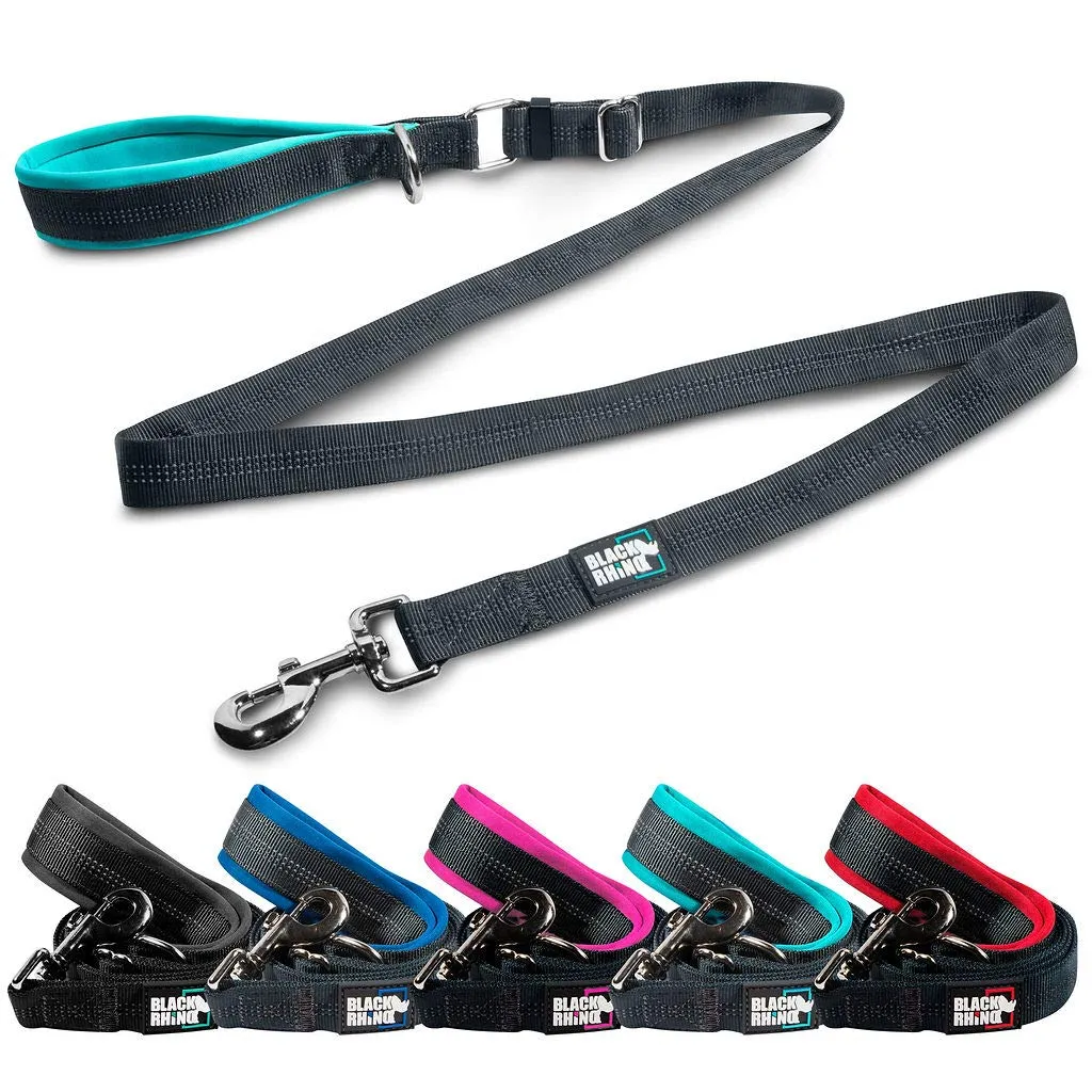 Training Dog Leash With Padded Handle Adjustable