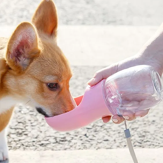 Water Bottle for Dogs - Portable Dog Water Bottle