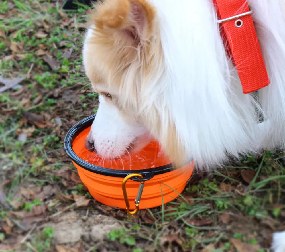 Water Food Bowl for Dogs Cats Collapsible Silicone with Carabiner Clip